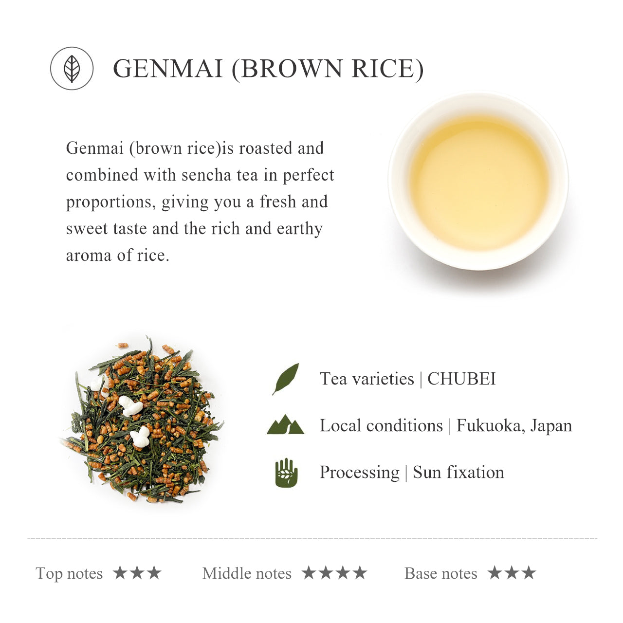 JSY Genmai Sencha Tea Bags 12pcs  Premium Tea Japanese tea