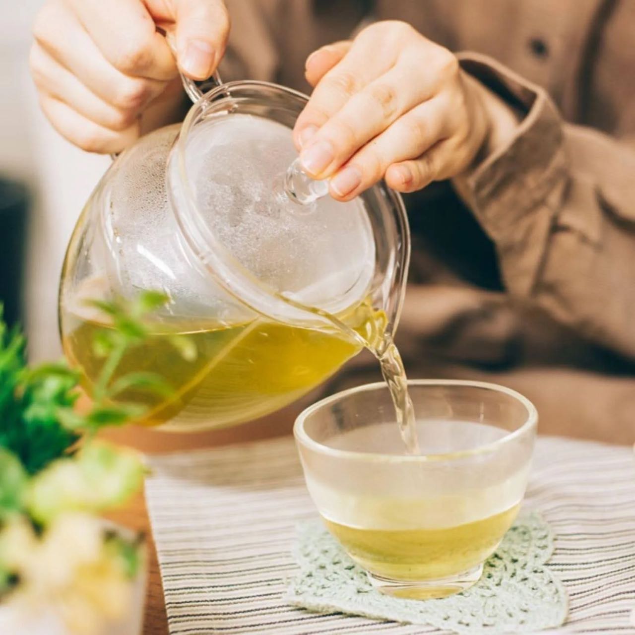 Hario Green tea pot 360ml