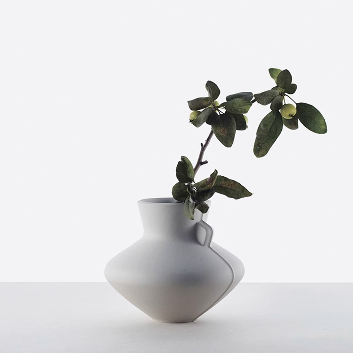 Single Eared Flat-belly Flower Vase