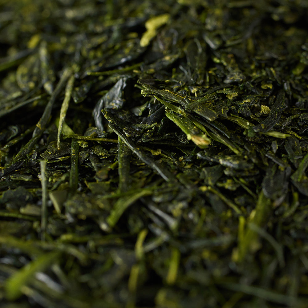 JSY Japanese Chiran Sencha 100g Green Tea Tin Loose Leaf Premium Tea