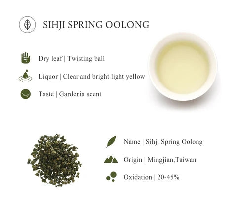 JSY Si Ji Chun Oolong Tea Bags 100pcs High Mountain Oolong Tea