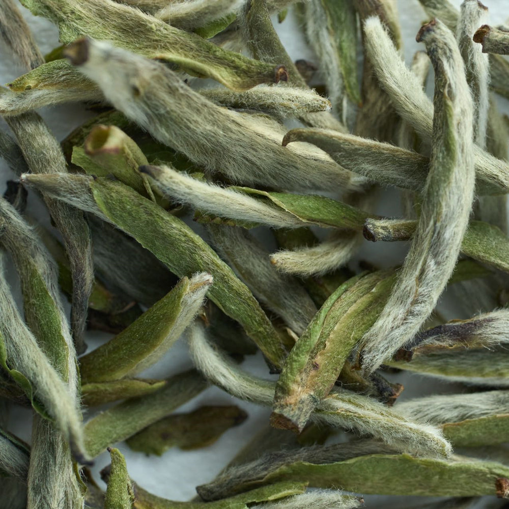 Silver Needles White Tea 50g Tin Loose Leaf Premium Tea